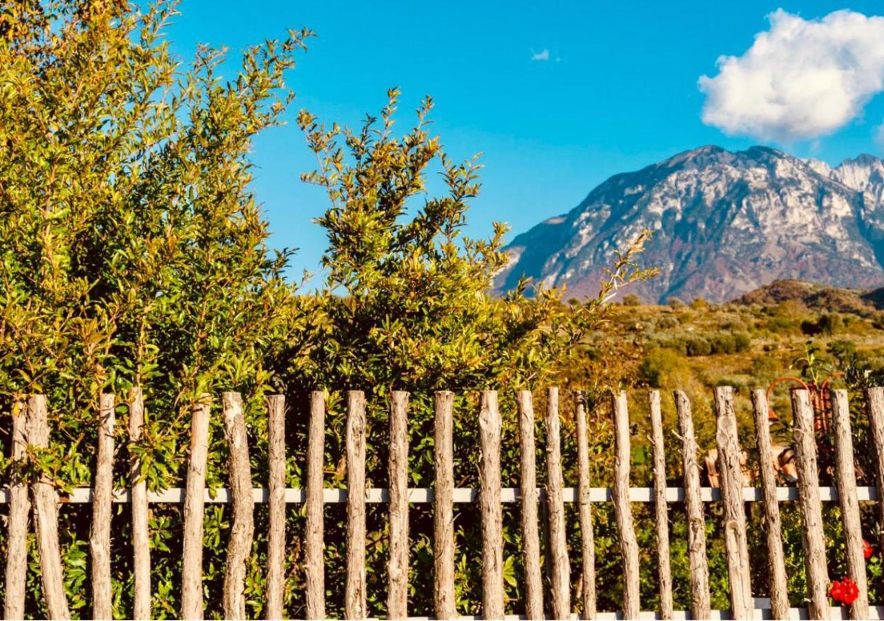Alpeta Agrotourism & Winery - Roshnik , Berat Hotel Exterior foto