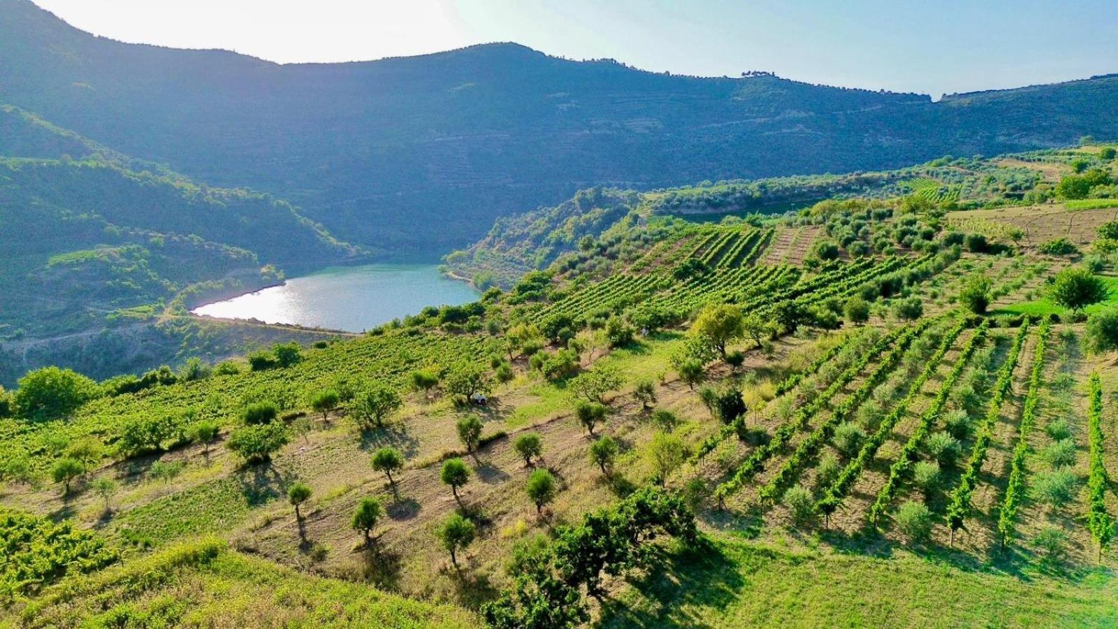 Alpeta Agrotourism & Winery - Roshnik , Berat Hotel Exterior foto