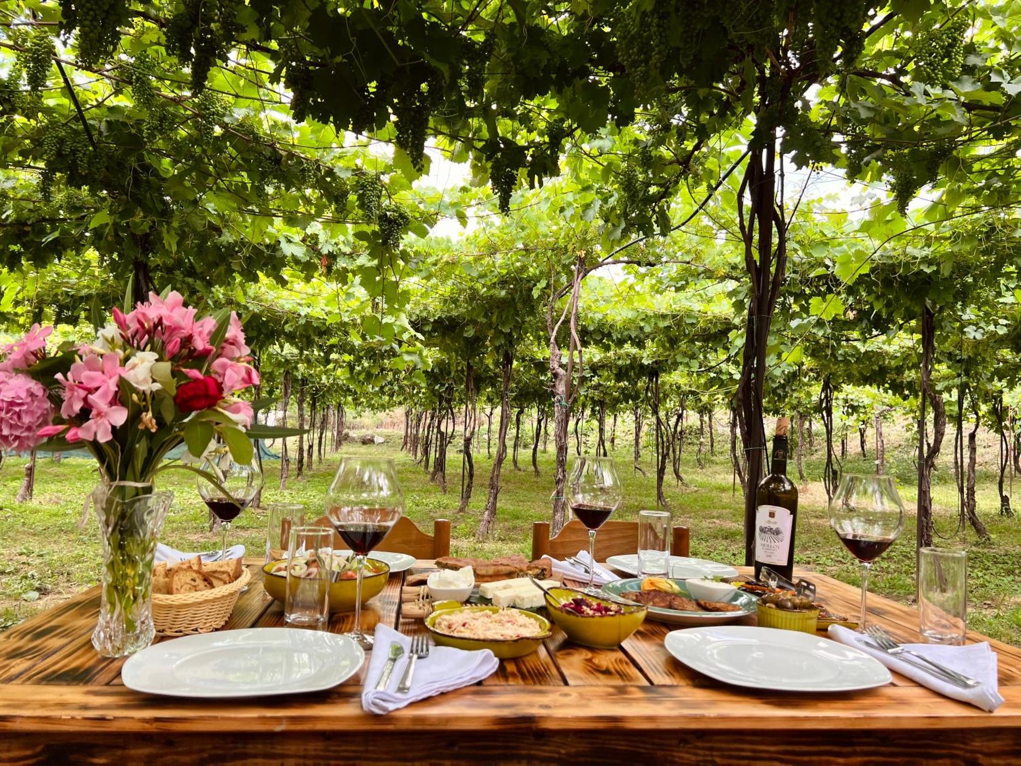 Alpeta Agrotourism & Winery - Roshnik , Berat Hotel Exterior foto